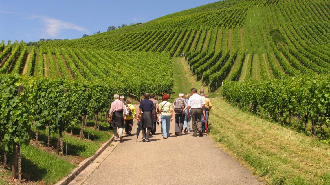 Die Ferienregion Marbach-Bottwartal – Wandergenuss für Geist und Gaumen Die Ferienregion Marbach-Bottwartal – Wandergenuss für Geist und Gaumen