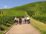 Die Ferienregion Marbach-Bottwartal – Wandergenuss für Geist und Gaumen