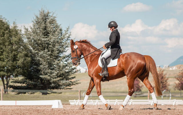 Erstausrüstung für Reiter: Was braucht ihr zum Reiten?