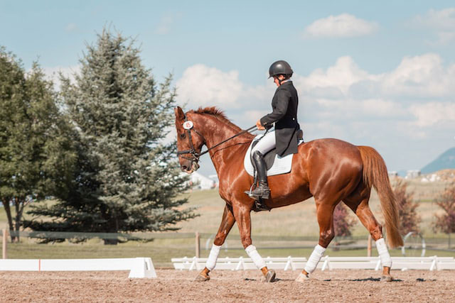 Erstausrüstung für Reiter: Was braucht ihr zum Reiten?