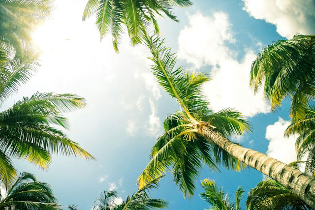 Deine ultimative Packliste für den Sommerurlaub in 2024 Deine ultimative Packliste für den Sommerurlaub in 2024