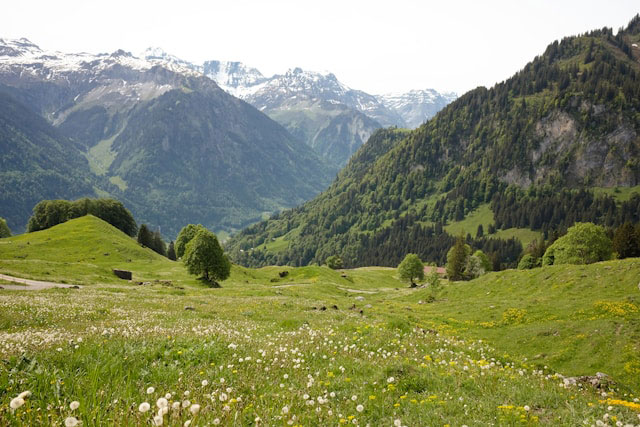 Natur Alm Österreich